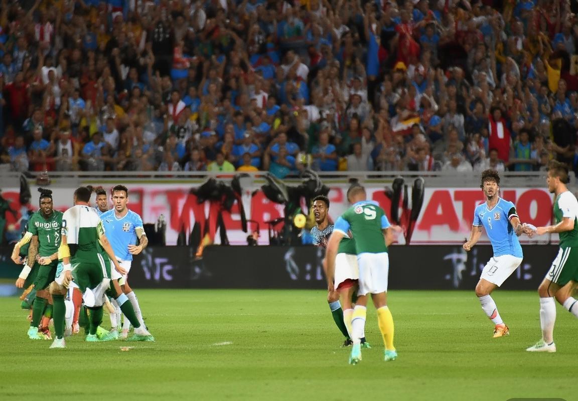 秘鲁VS乌拉圭：世界杯预选激战深度解析(图4)